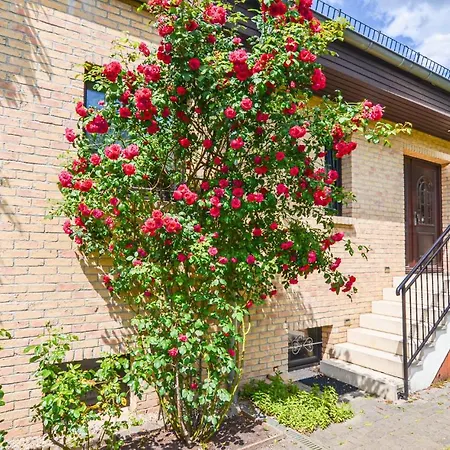 Gorgeous In Berlin-bohnsdorf * Berlin