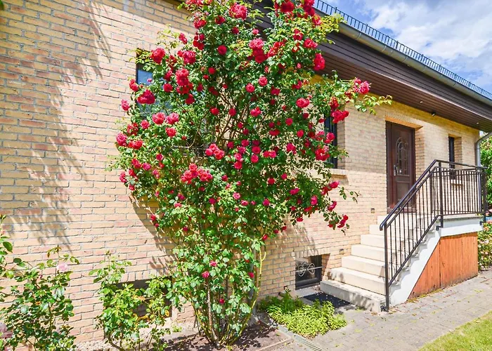 Gorgeous In Berlin-bohnsdorf * 柏林